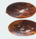 Donuts au Chocolat